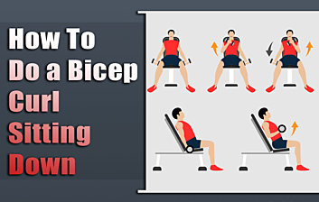 How To Do A Bicep Curl Sitting Down