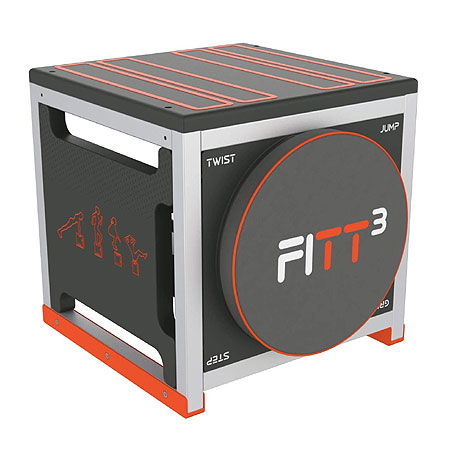 Fitt Cube Review