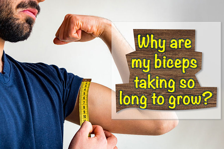 Why are my biceps taking so long to grow?