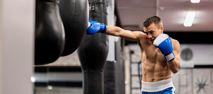 male boxer training