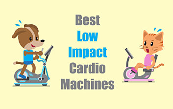 Best low impact cardio machine