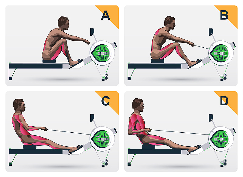 Proper rowing form