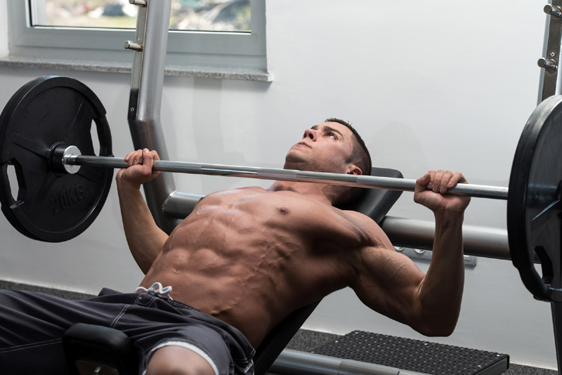 Beginner's Guide To Bench Press