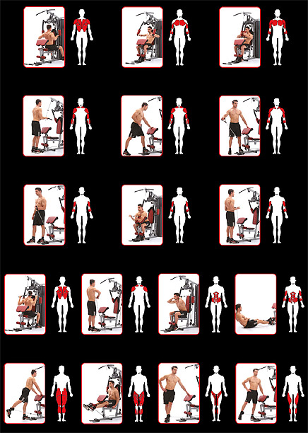 Sportstech HGX250 Exercises