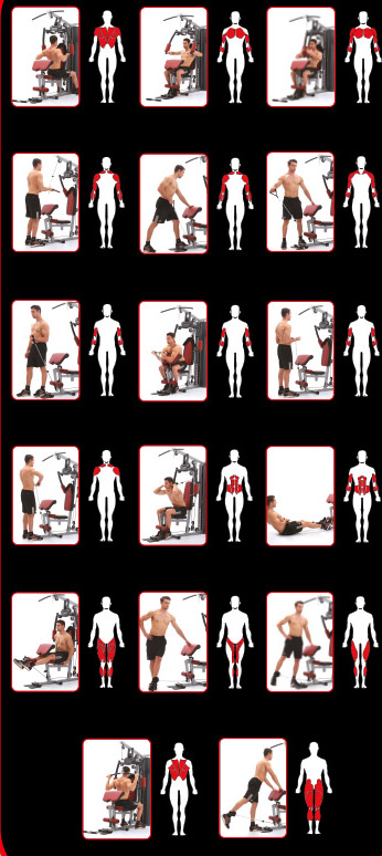 Sportstech HGX100 Exercises